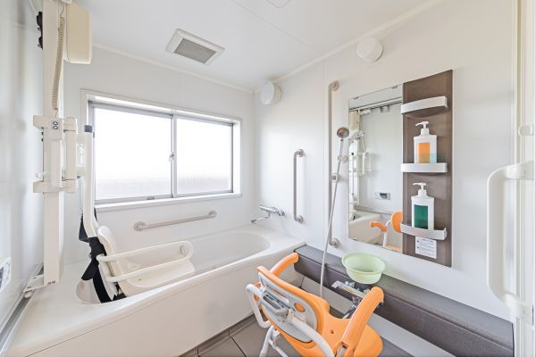 Senior Bathtub Installation in Demotte