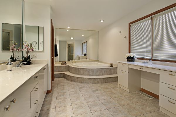 Step In Tub Installation in Demotte